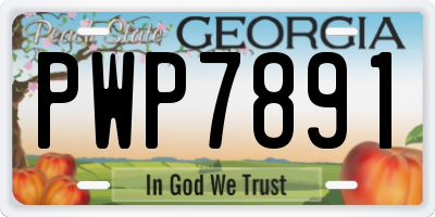 GA license plate PWP7891