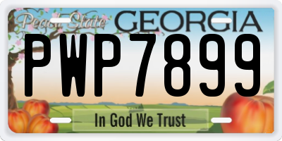 GA license plate PWP7899