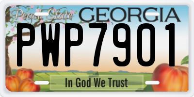 GA license plate PWP7901