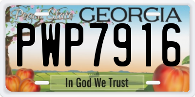 GA license plate PWP7916