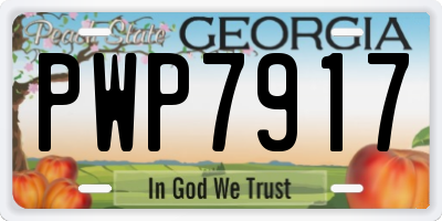 GA license plate PWP7917