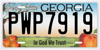 GA license plate PWP7919