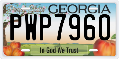 GA license plate PWP7960