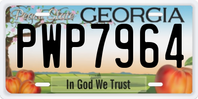 GA license plate PWP7964