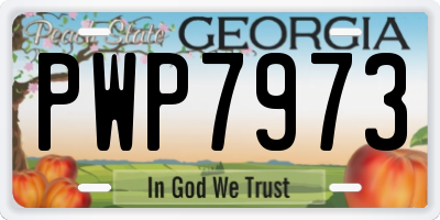 GA license plate PWP7973