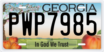 GA license plate PWP7985