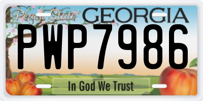 GA license plate PWP7986
