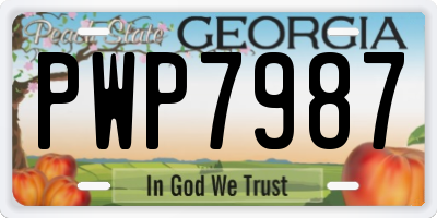 GA license plate PWP7987