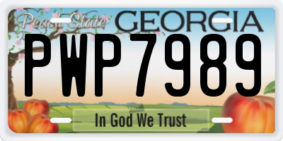 GA license plate PWP7989