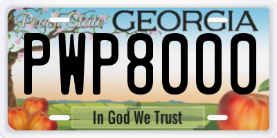 GA license plate PWP8000