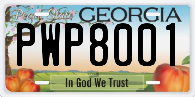 GA license plate PWP8001