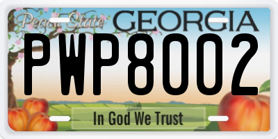 GA license plate PWP8002