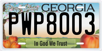 GA license plate PWP8003