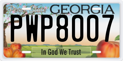 GA license plate PWP8007