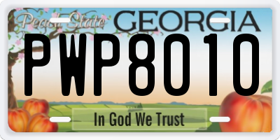 GA license plate PWP8010