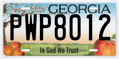 GA license plate PWP8012