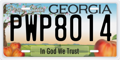 GA license plate PWP8014