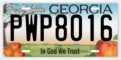GA license plate PWP8016