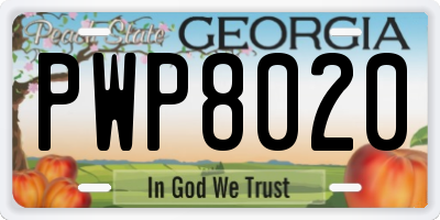 GA license plate PWP8020