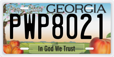 GA license plate PWP8021