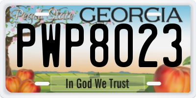 GA license plate PWP8023