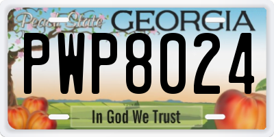 GA license plate PWP8024