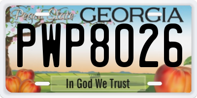 GA license plate PWP8026