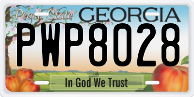 GA license plate PWP8028
