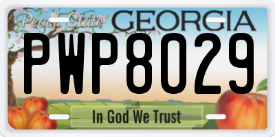 GA license plate PWP8029