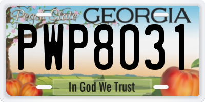 GA license plate PWP8031