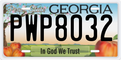 GA license plate PWP8032