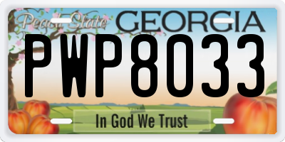 GA license plate PWP8033