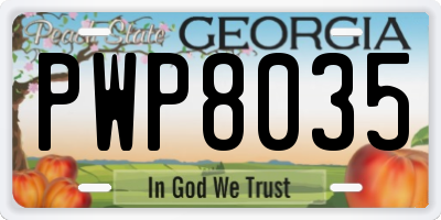 GA license plate PWP8035