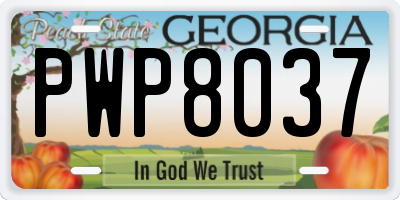 GA license plate PWP8037