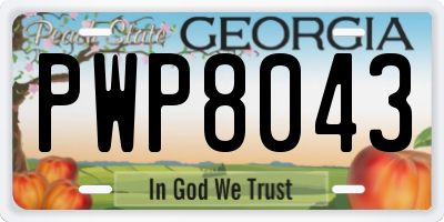 GA license plate PWP8043