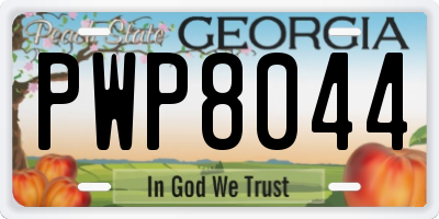 GA license plate PWP8044