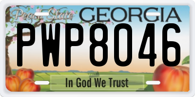 GA license plate PWP8046
