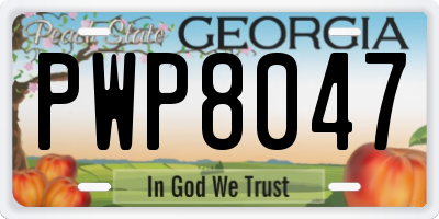 GA license plate PWP8047