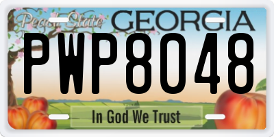 GA license plate PWP8048