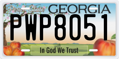 GA license plate PWP8051