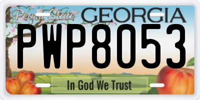 GA license plate PWP8053