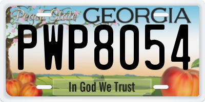 GA license plate PWP8054