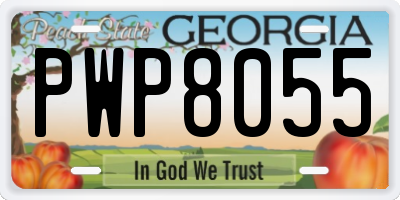 GA license plate PWP8055