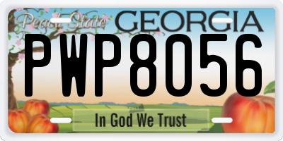 GA license plate PWP8056