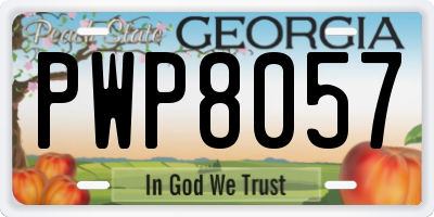 GA license plate PWP8057