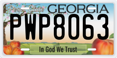 GA license plate PWP8063