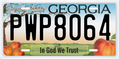 GA license plate PWP8064