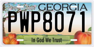 GA license plate PWP8071