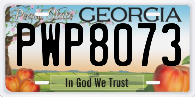 GA license plate PWP8073