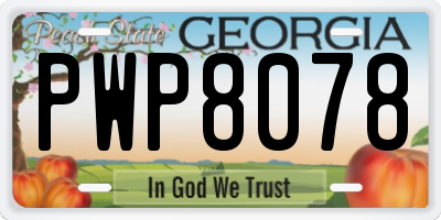 GA license plate PWP8078